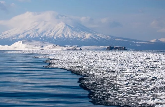 Японский политолог заявил о необходимости блокады Южных Курил