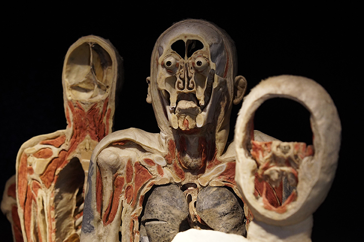 Организаторы «Мира тела» оценили законность проведения выставки в Москве