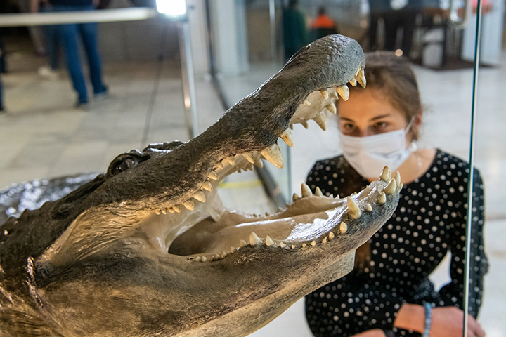 Выставка «Земля. Версия-2021. Что было после?» откроется в Дарвиновском музее