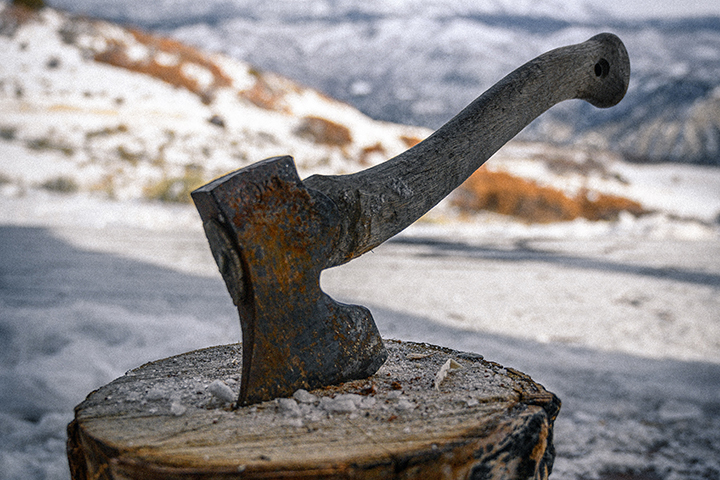 Народный календарь. Почему нельзя ломать деревья 26 марта