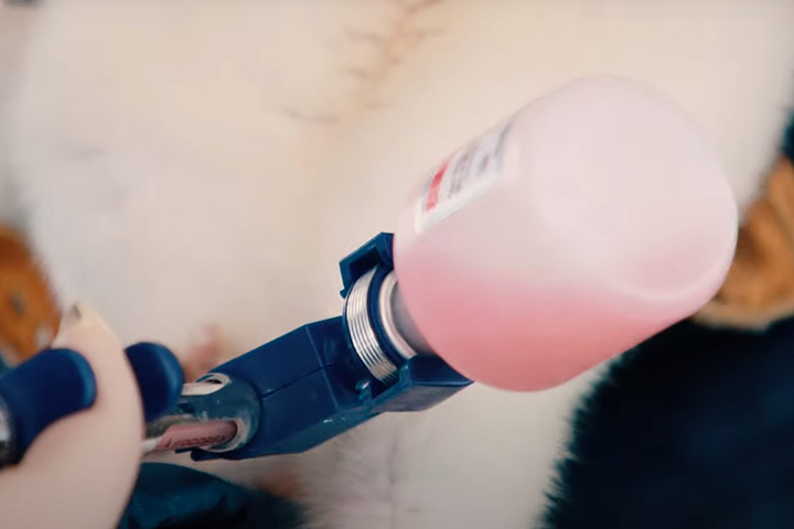 Названа стоимость вакцины от коронавируса для животных