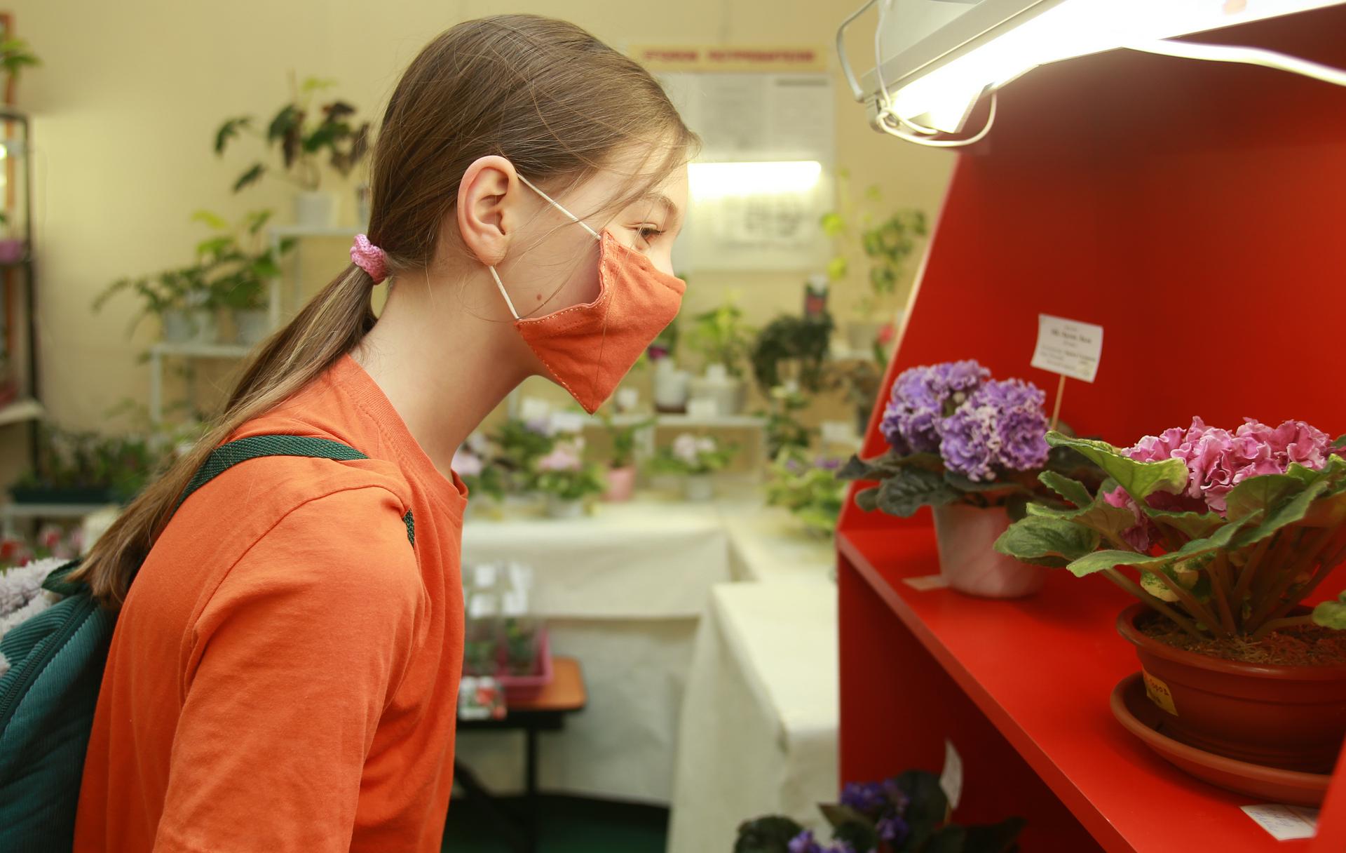 Агроном рассказала, как весной помочь комнатным растениям