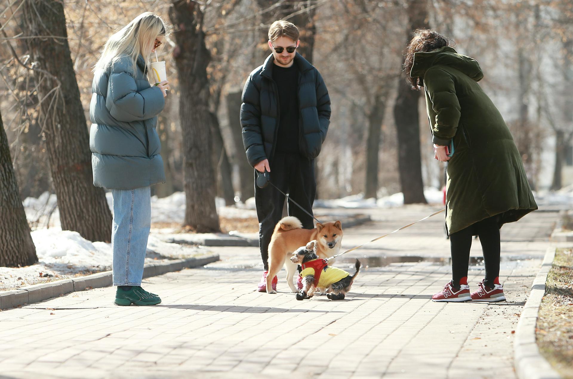 Синоптики сообщили о теплой и сухой погоде в Москве 5 апреля
