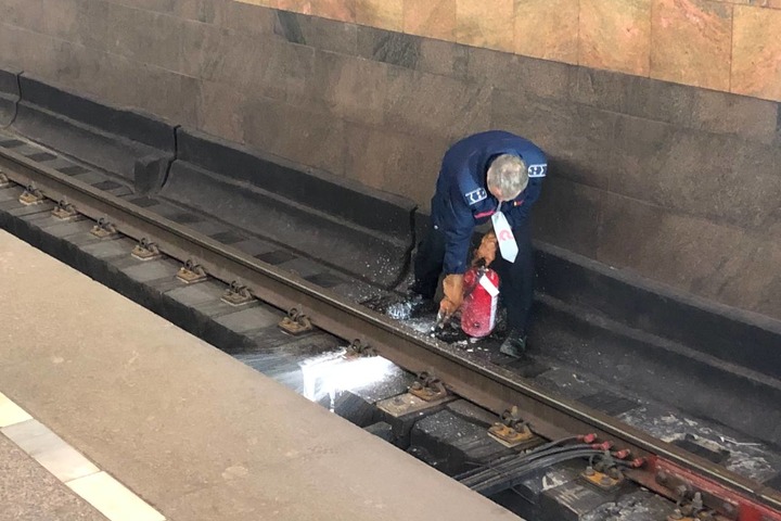 На станции метро «Дмитровская» произошло возгорание на линии движения