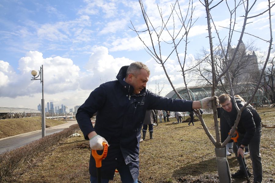 Журналист Евгений Попов (на переднем плане) принял участие в акции по восстановлению яблоневого сада возле станции метро «Славянский бульвар»