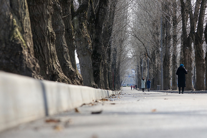 Парковый комплекс в Рязанском районе благоустроят к 2023 году