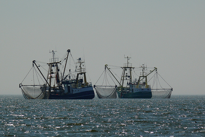 Рыболовецкий траулер загорелся в Охотском море