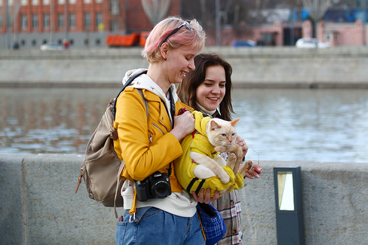 Как путешествовать с питомцем