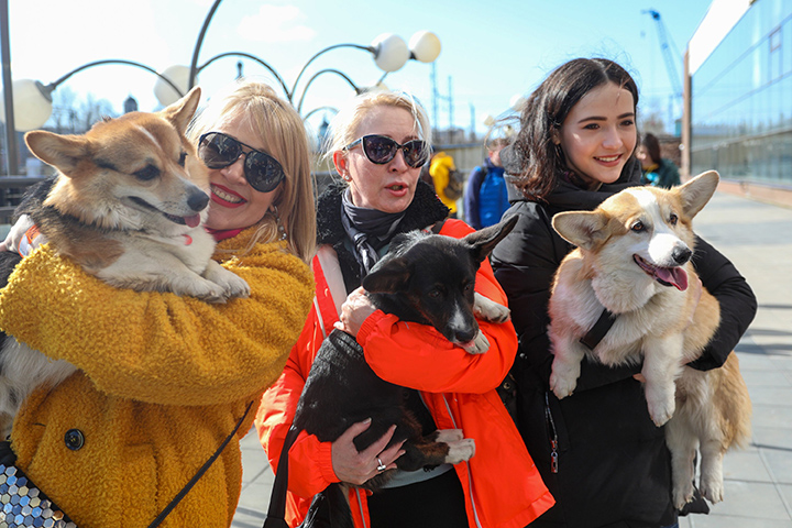 Названы самые популярные направления для отдыха с домашними питомцами