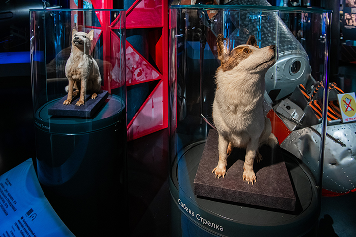 ВДНХ пригласила москвичей на семейную программу со спектаклями и мультфильмами