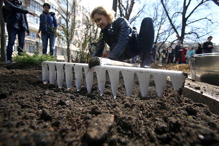 Более 250 тысяч жителей Подмосковья присоединились к муниципальным субботникам