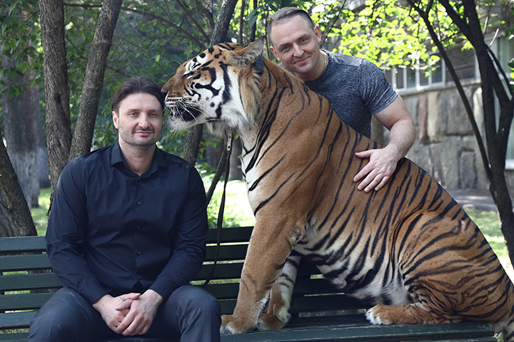 Сестру и племянника Запашных уволили из цирка за жестокое обращение с животными