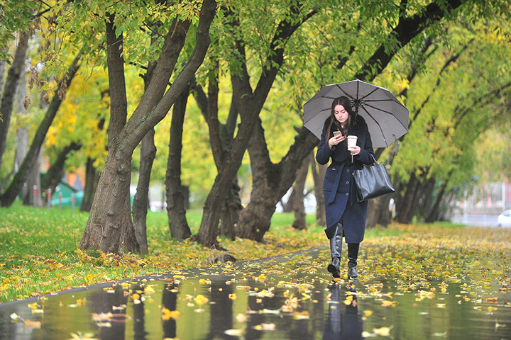 Синоптик рассказал, когда в Москве начнется листопад