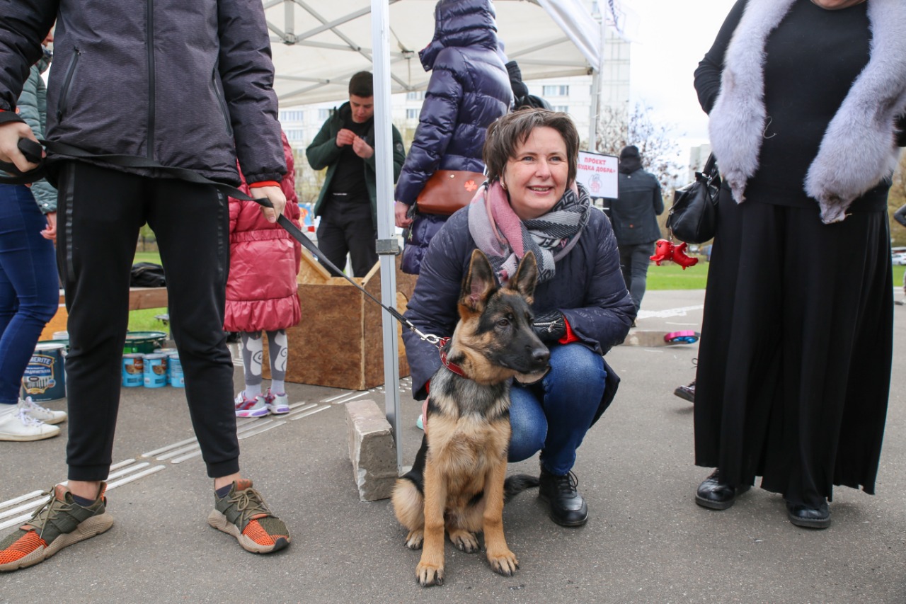 Правозащитница Разворотнева провела благотворительный фестиваль «Дом для хвостатых на раз-два-три»