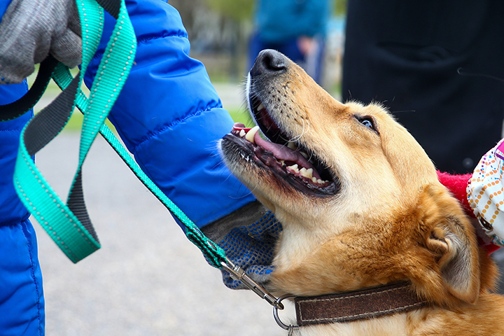 Москвичам рассказали про НКО, которые помогают людям с ограниченными возможностями 