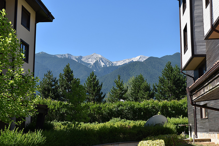 Болгария отменила обязательные ПЦР-тесты для привитых «Спутником V» россиян