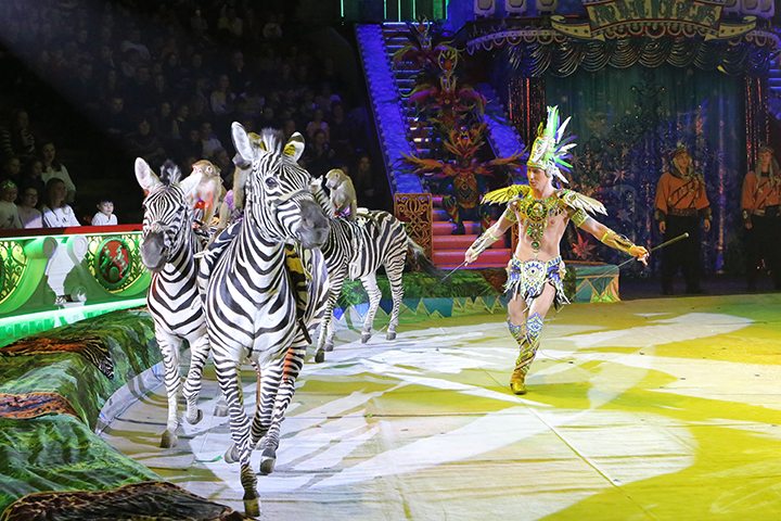 В Госдуму внесли законопроект о запрете использования животных в цирках