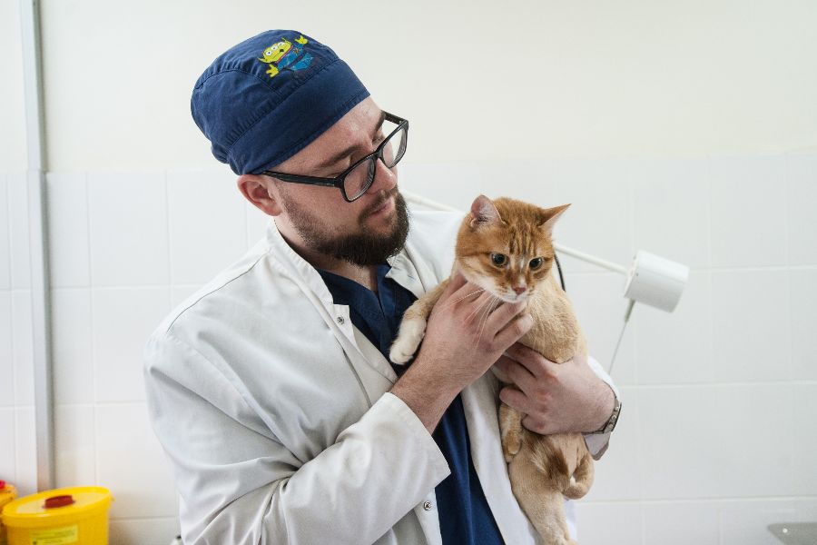 Ветеринарный фельдшер Ярослав Никифоров и кот Кузя