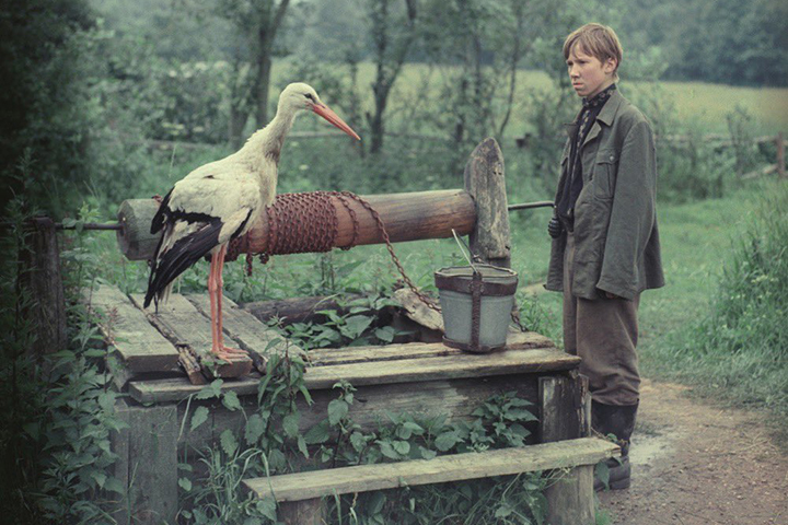 «Иди и смотри» и «Пчелка Майя»: какие фильмы выйдут в прокат 6 мая