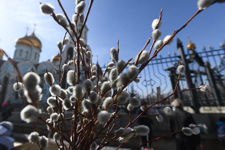 Кладбища Подмосковья подготовили к посещению перед православными праздниками