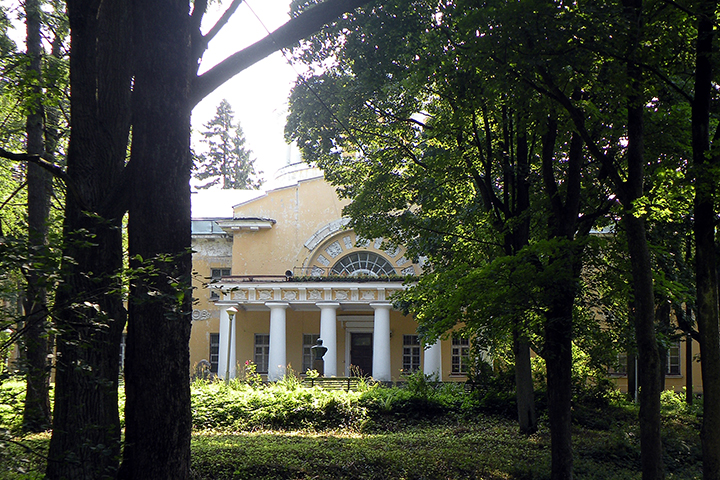 Усадьбу в Шуваловском парке выставили на аукцион