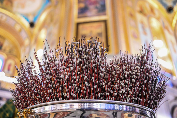 Священник объяснил, почему верба стала символом православного праздника