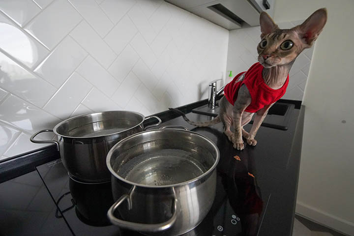 Плановые отключения горячей воды начались в Москве