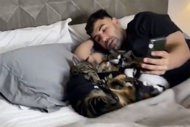 «Вредная баба»: женщина выгнала котов и мужа из кровати и насмешила Сеть