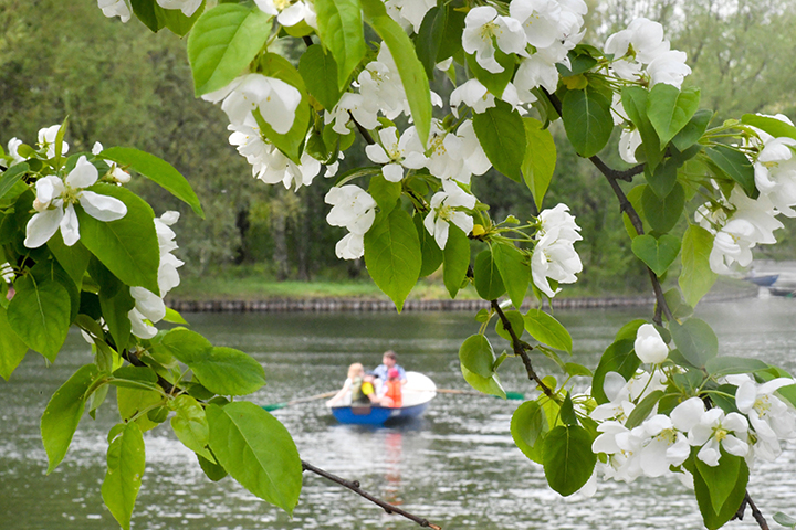 Дни черепахи и библиотек: какие праздники отметит Мосприрода