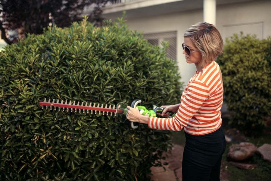 Что предстоит сделать в саду в мае
