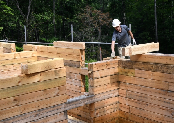 «Будут страдать люди»: эксперт рассказала, как действовать в условиях дефицита древесины
