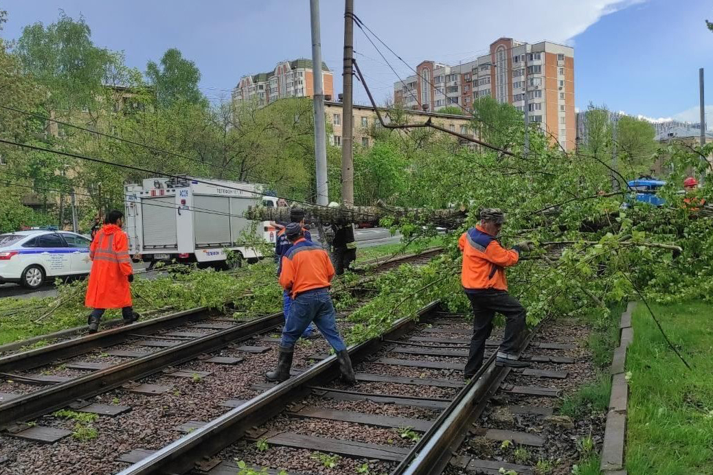Упавшие деревья заблокировали трамвайные пути на нескольких улицах Москвы