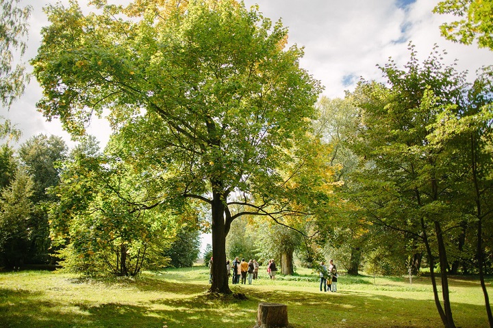 Исторический сад восстановят в подмосковной усадьбе Достоевского