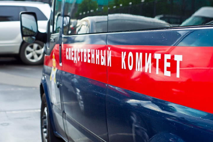 СК возбудил уголовное дело после смерти бабушки и внучки, отравившихся арбузом в Москве