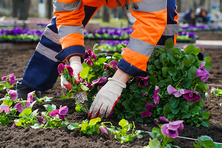 В Зеленограде рассказали о ходе работ по благоустройству