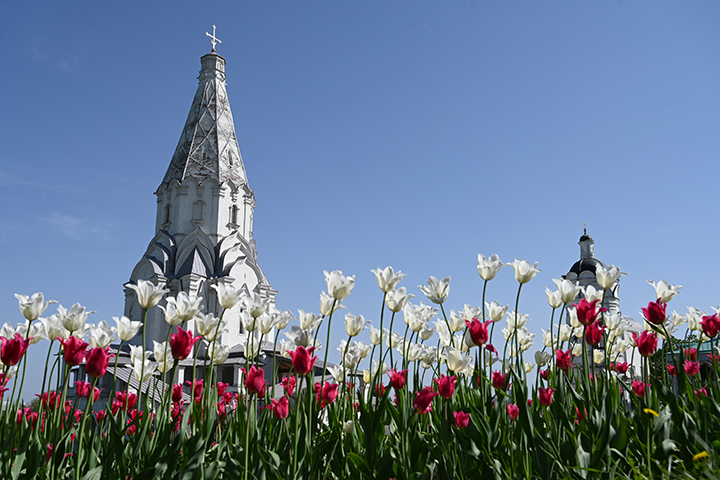 Выставка «Фотограф русской старины» откроется в Коломенском