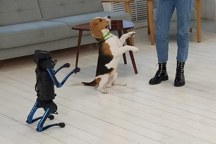 Родительская подмена: можно ли дарить ребенку робота-собаку вместо живого питомца