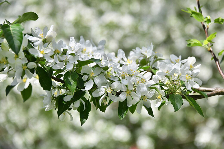 Галерея «Беляево» откроет последнюю выставку искусствоведа В. Пацюкова