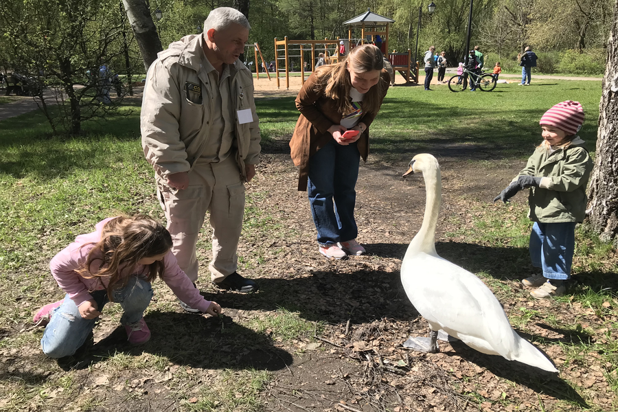 Охранник Юрий Нагайцев и Полина Михайлова с детьми общаются с лебедем Дусиком у пруда