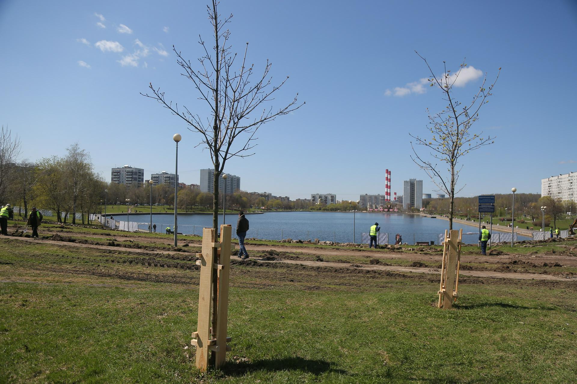 Благоустройство сквера у Гольяновского пруда планируют завершить в августе