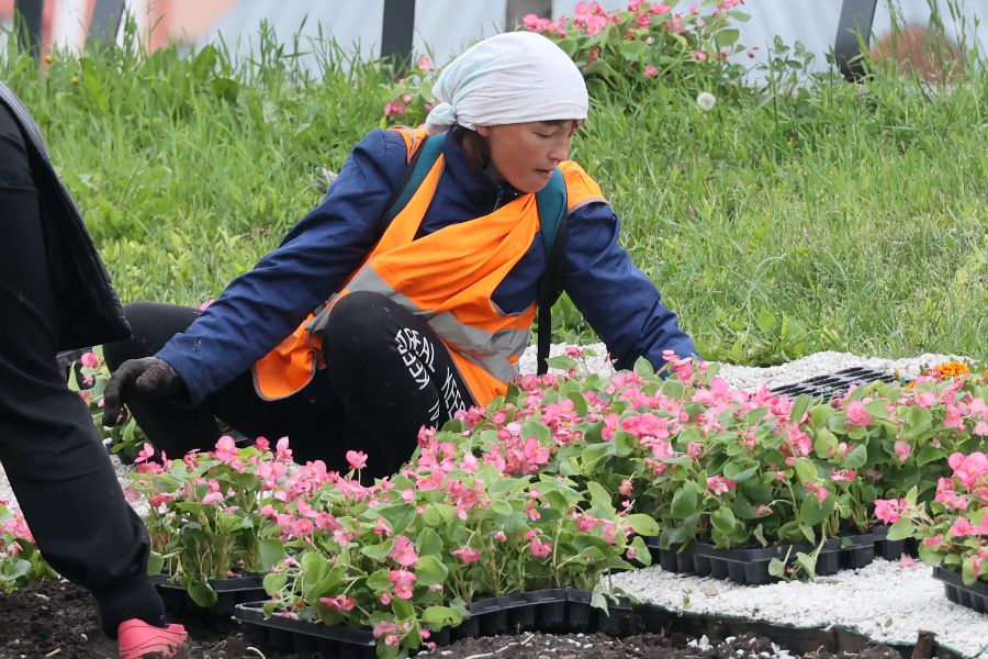 Озеленители постоянно следят за цветниками