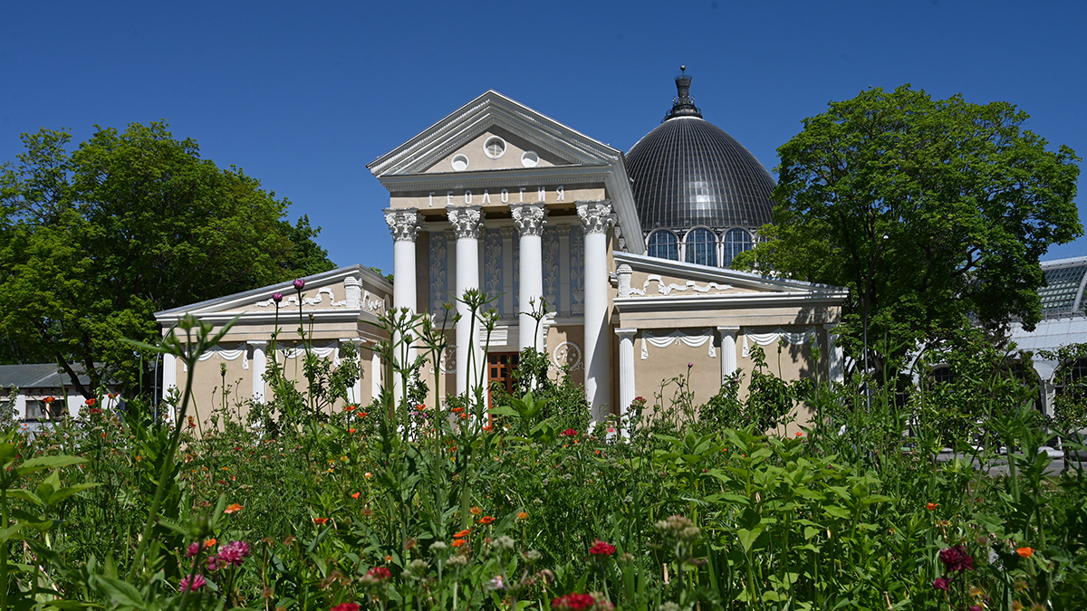 Хиты Queen, Синатры и Sting прозвучат в оранжерее на ВДНХ