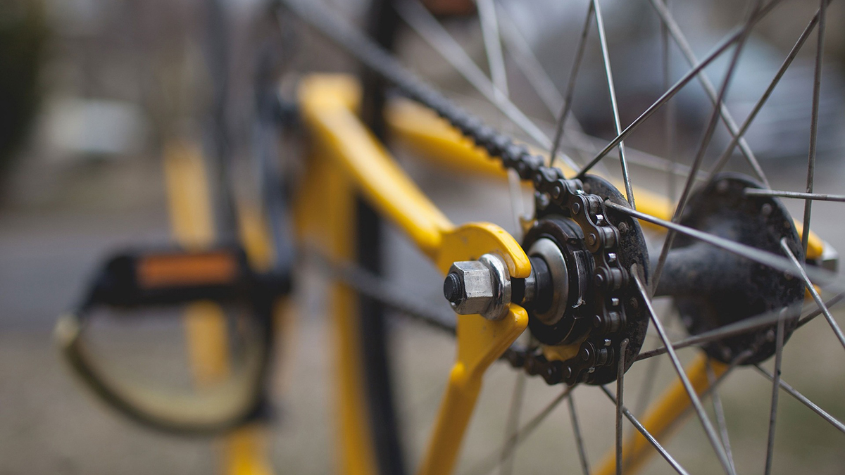 Задержанный велосипедист из Франции нарисовал, как перешел границу России