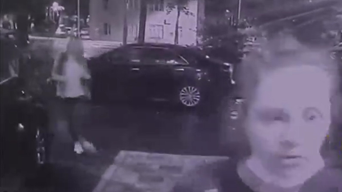 Полиция задержала молодых «разбойниц», ограбивших москвичку в центре столицы