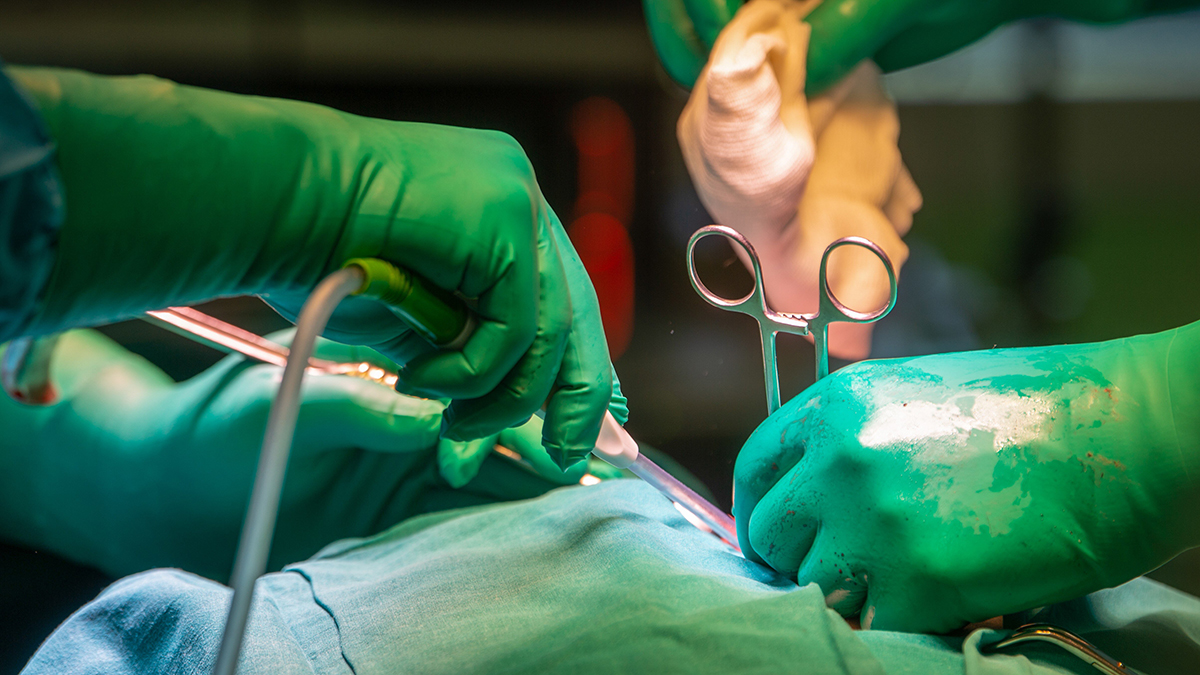 Пластический хирург назвала способ избавления от целлюлита