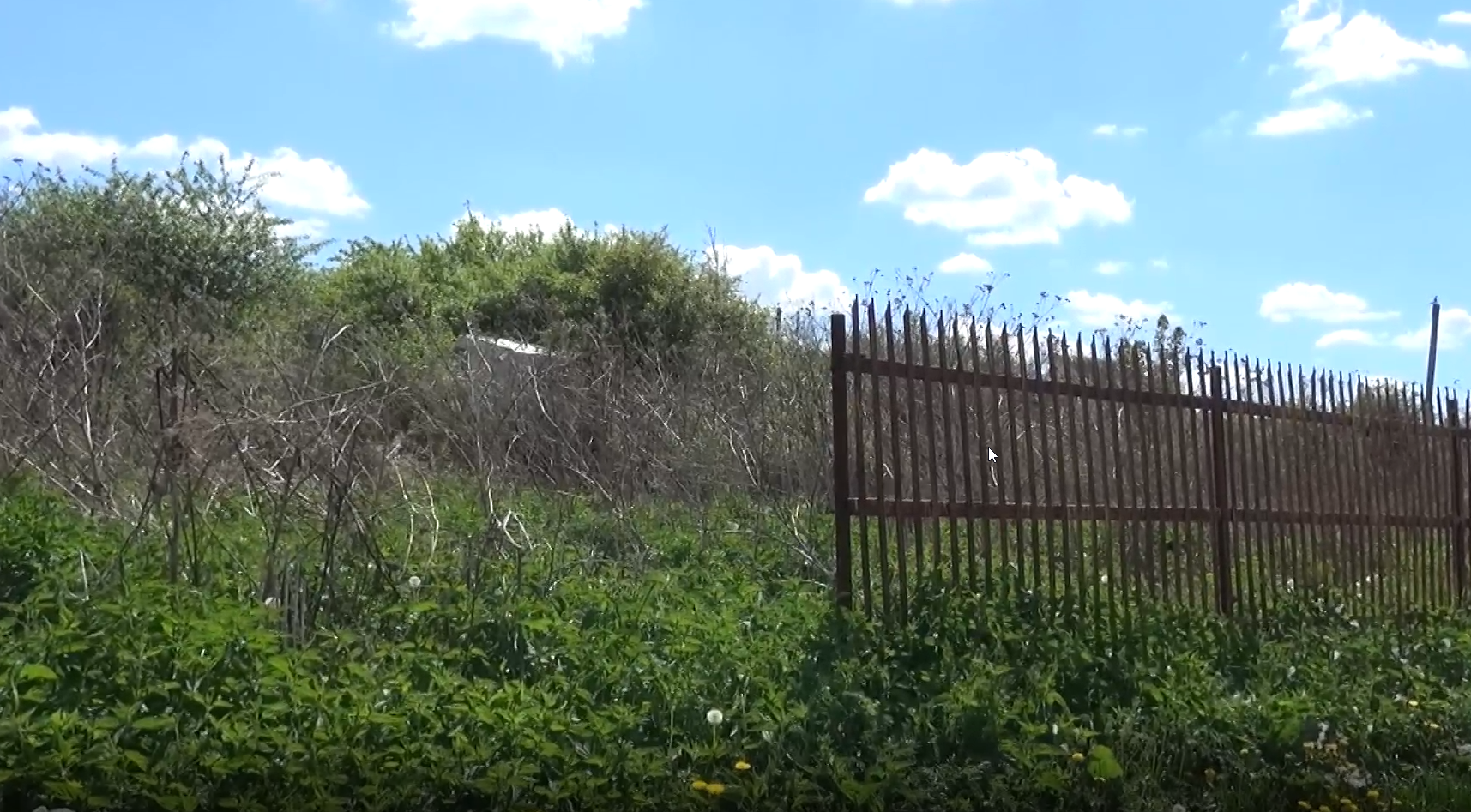 Рецидивисты украли забор с дачного участка в Подмосковье