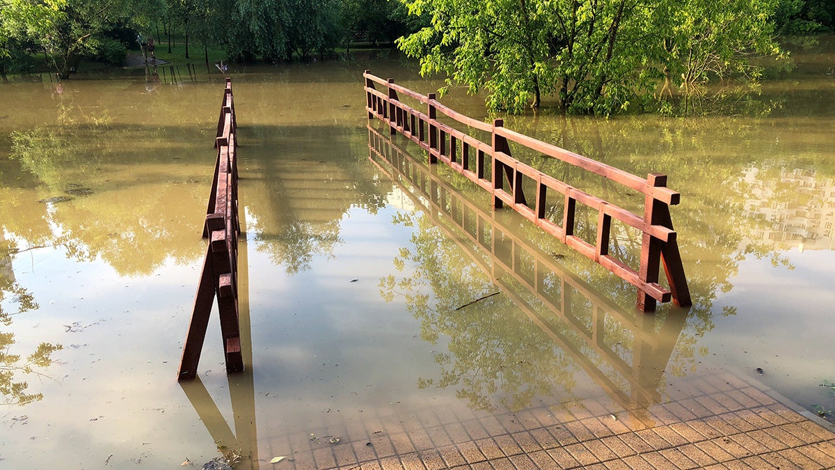 Более 50 участков затопило в подмосковном СНТ