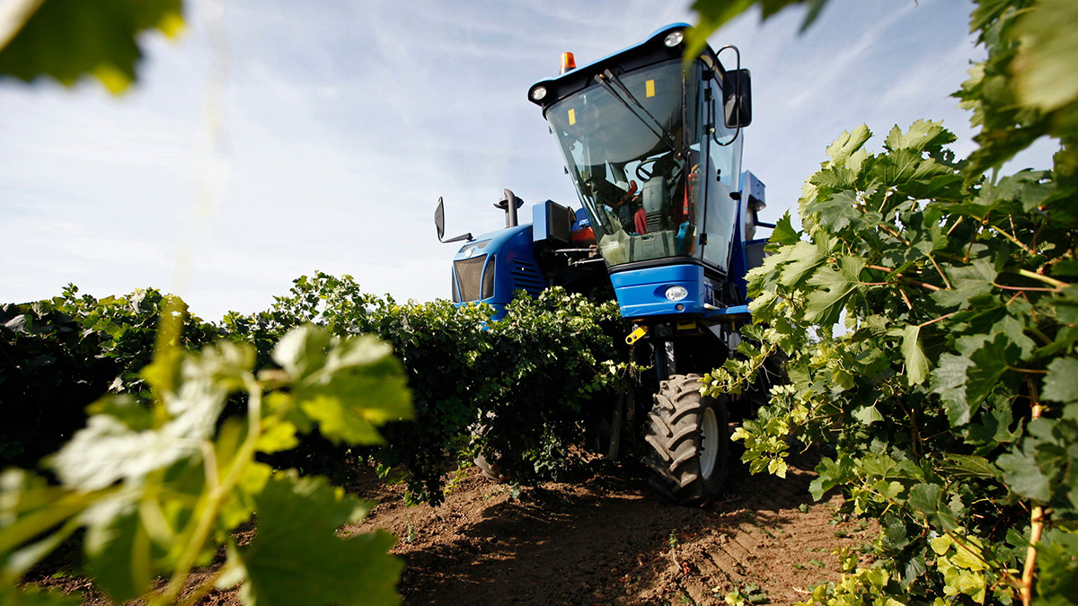 Депутат предложил предоставить дополнительные выходные работникам села