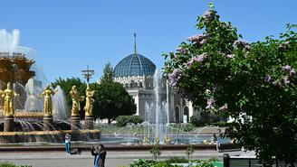 Зеленый город, вернись