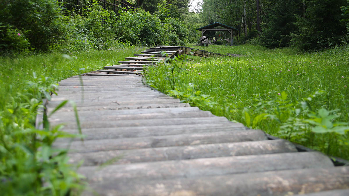 Собянин рассказал о планах реабилитации «Лосиного острова»